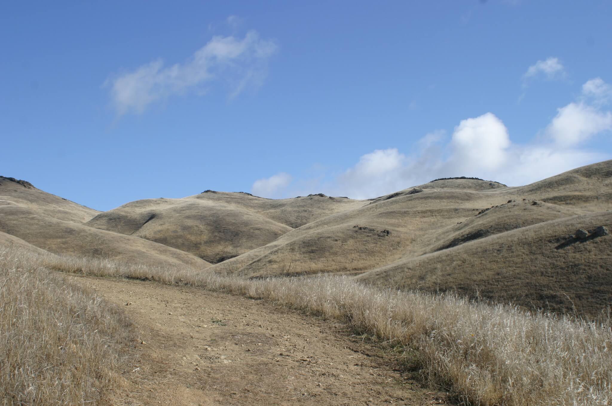 The Mystery Walls of Milpitas_Hike 10