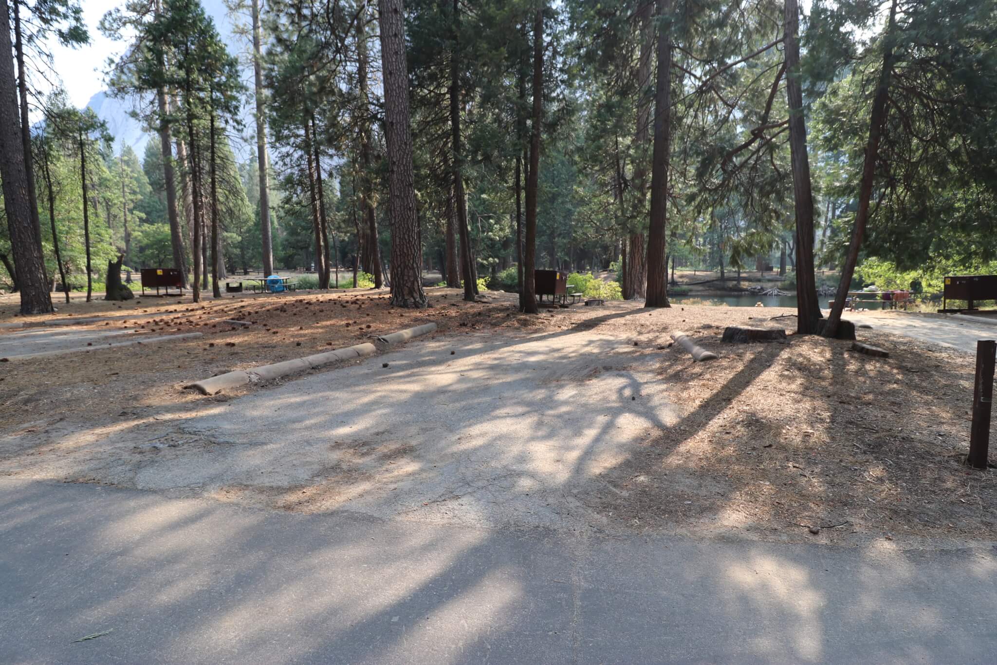 North Pines Campground Lottery - Site 524
