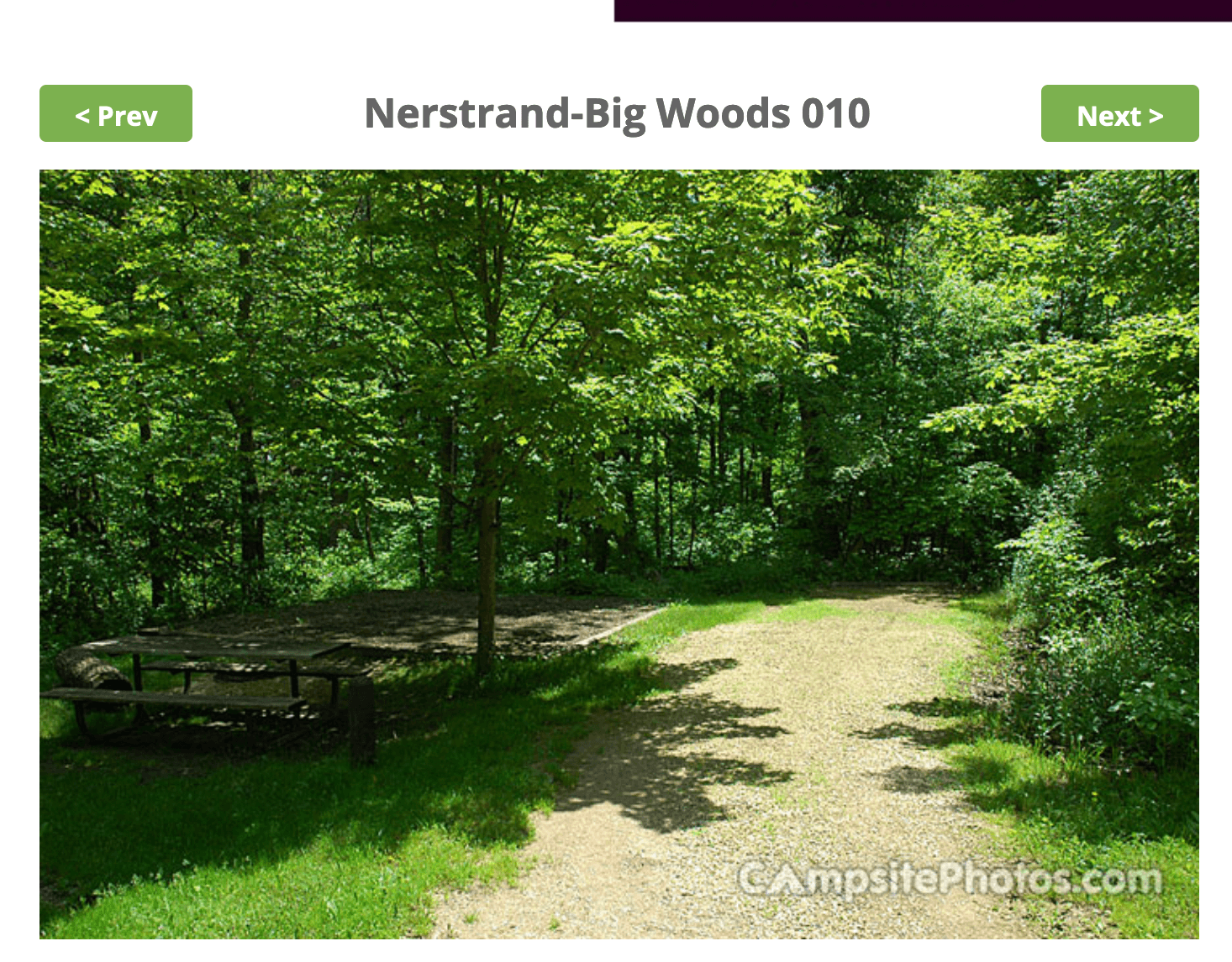 Nerstrand Big Woods State Park Campsite #10