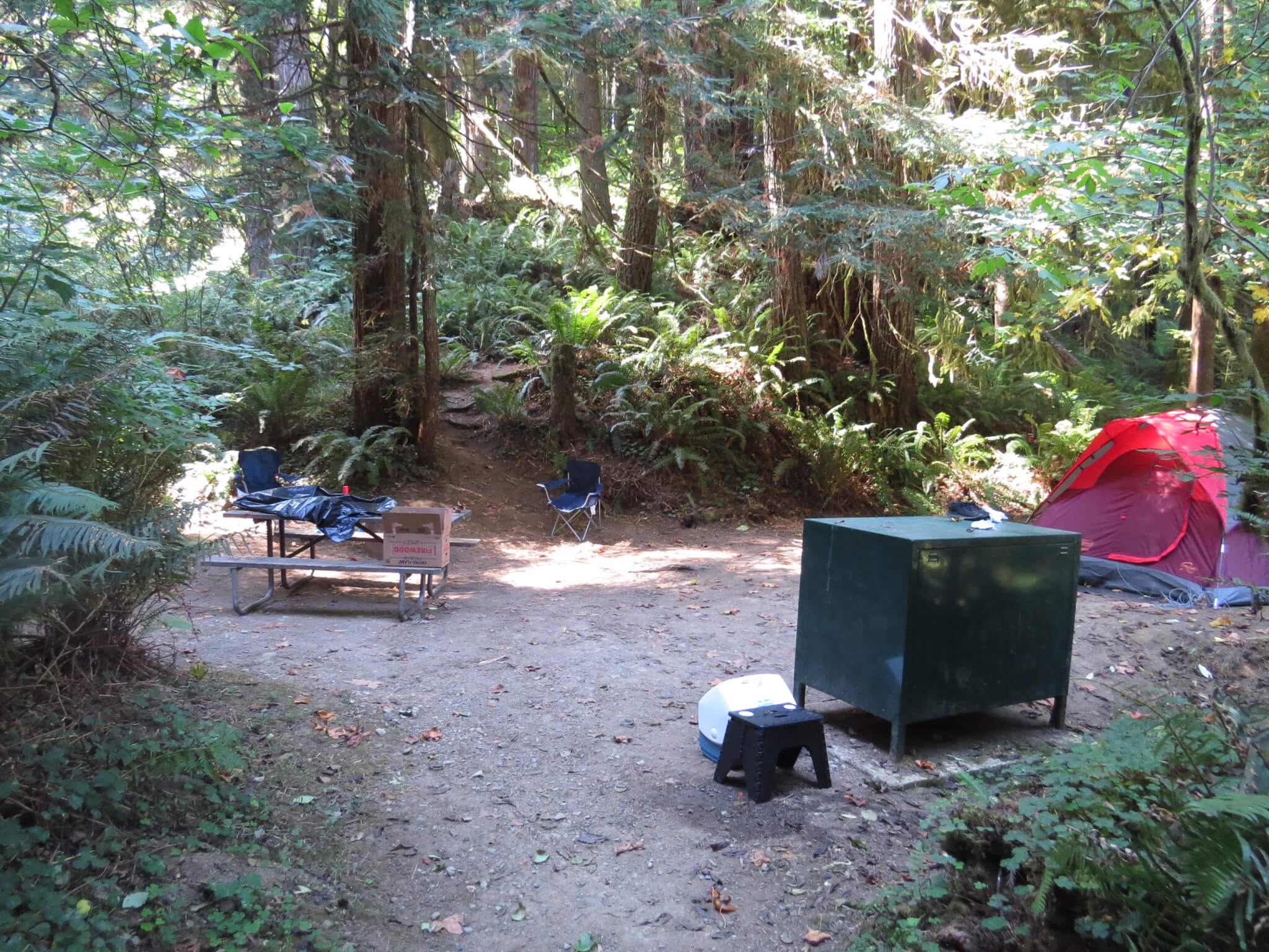 Del Norte Redwoods State Park Campsite #6